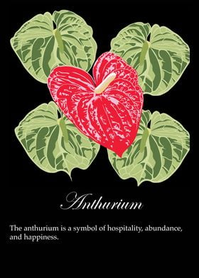 Anthurium poster