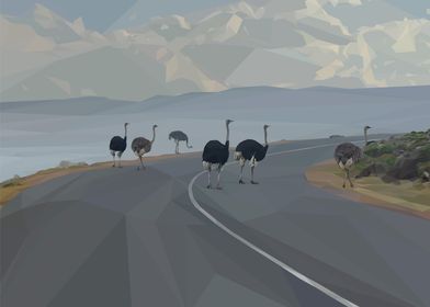 Low Poly Ostriches on Road