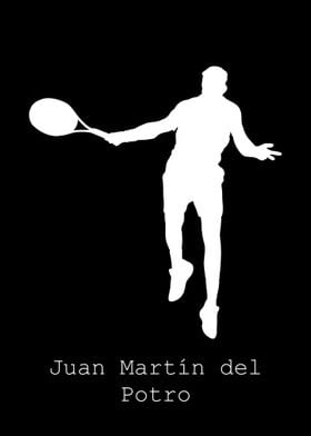 Juan Marin del Potro 