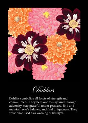 Dahlias poster