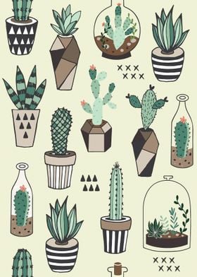 Various cactus plant
