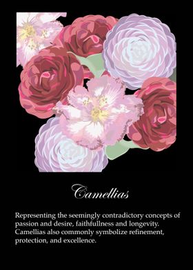 Camellias poster