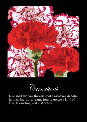 Carnations poster