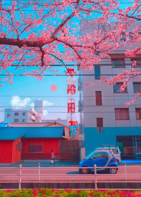 Sakura City