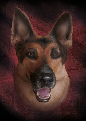 German Shepherd