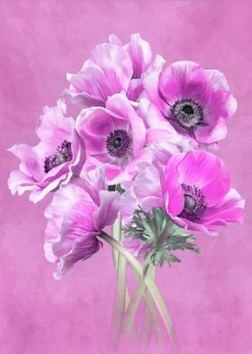 Anemone flowers