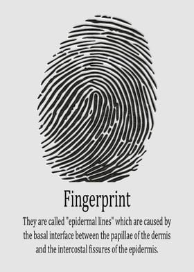 Fingerprint