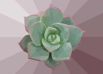 Low Poly Green Succulent