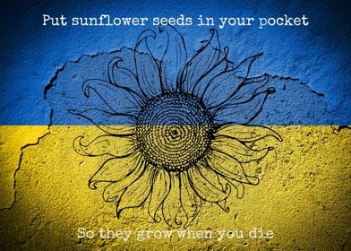 Sunflower Seeds Ukraine