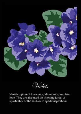 Violets poster