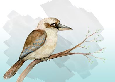 Kookaburra watercolor