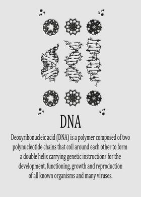 DNA