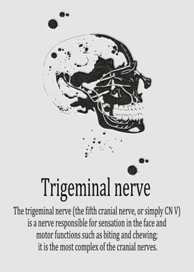 Trigeminal nerve