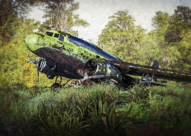 jungle plane wreck