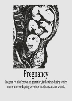 Pregnancy