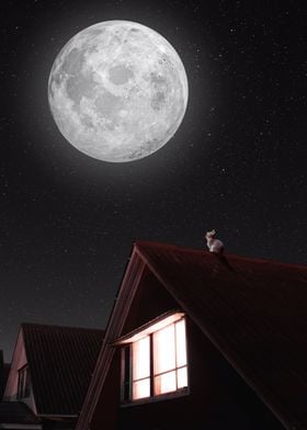 Cat on a roof and moon