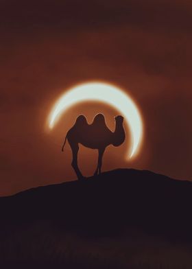 Eclipse in the Desert