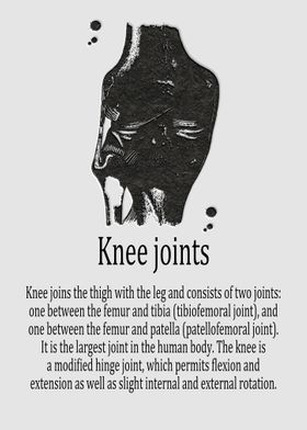 Knee joints