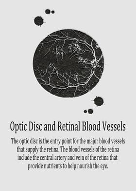 Optic Disc Retinal Blood