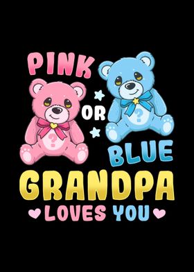 Gender Reveal Pink or Blue