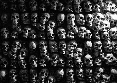 Skulls in black and white
