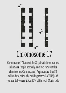 Chromosome 17