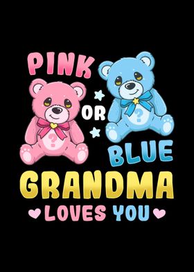 Gender Reveal Pink or Blue