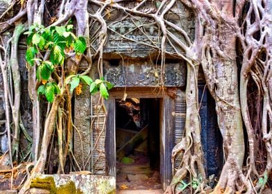 Ta Prohm