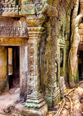 Ta Prohm