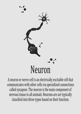 Neuron