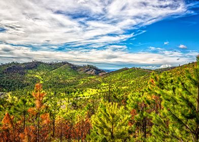 Heddy Draw Overlook