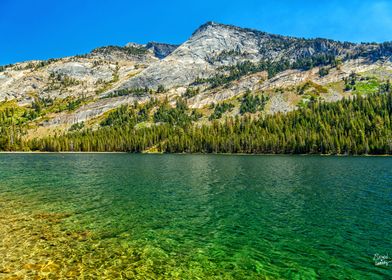 Tenaya Lake Yosemite