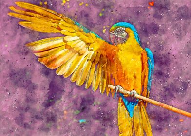 Parrot Colorful Watercolor