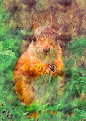 Squirrel Watercolor