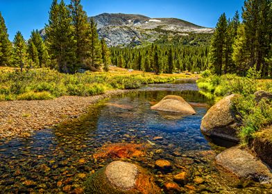 Mammoth Peak Yosemite