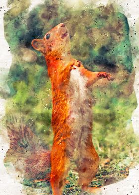 Squirrel Watercolor Art