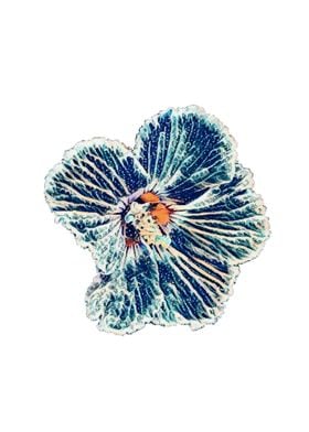 Anime ocean Hibiscus