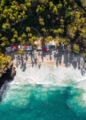 Bali Beach Jungle