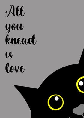 cat quotes 