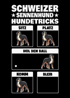 Groer Schweizer Sennenhun