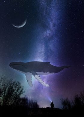 Cosmic Whale
