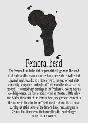 Femoral head