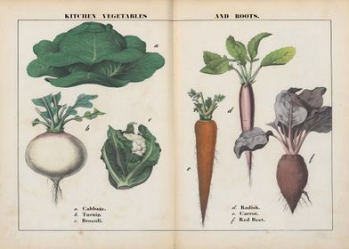 Vegetable art poster