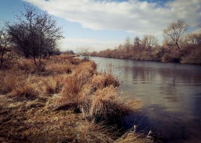 Vintage riverside landscap