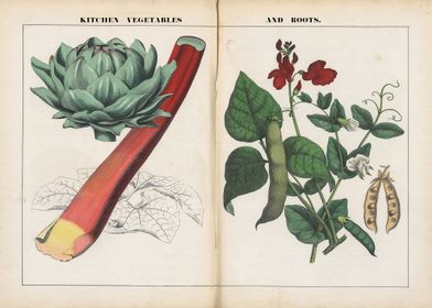 Vegetable art poster