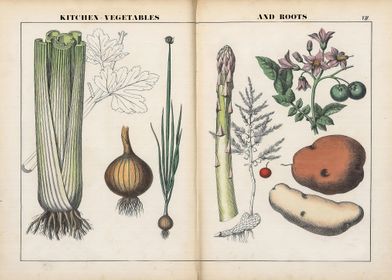 Vegetable posters