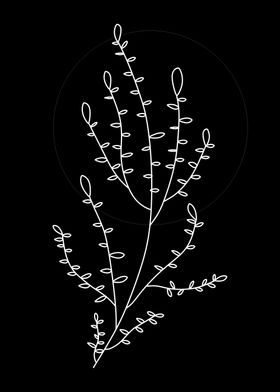 line art twig black white