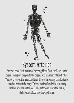 System Arteries