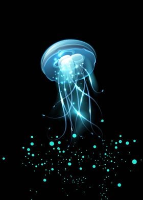 Jellyfish