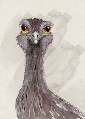 Ostrich watercolor drawing